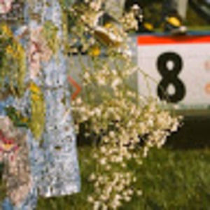 Meet your Posher, Tucker